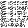 polyommatus icarus fominae ef-1a